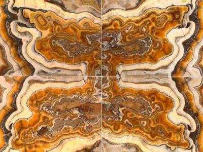 22309025 1503633813056964 3402206242633085333 N